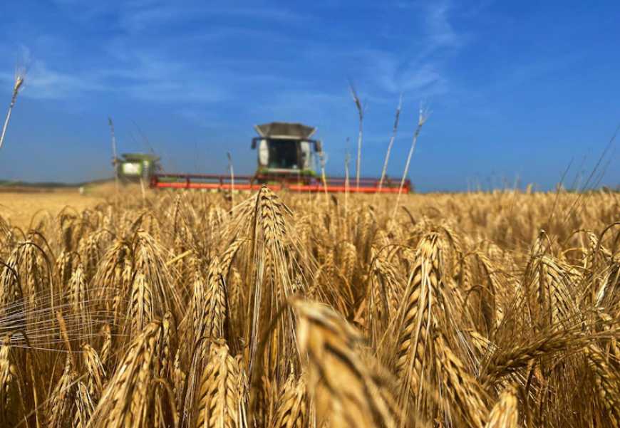 Науковці прогнозують 3% зростання виробництва агропродукції у 2025 році