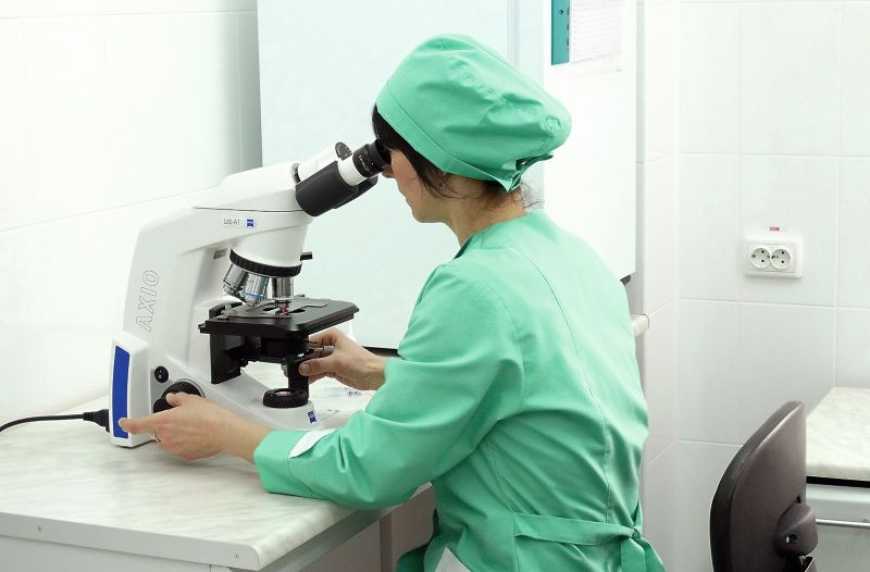 Український ринок ветеринарних препаратів: розвиток галузі на прикладі національного виробника