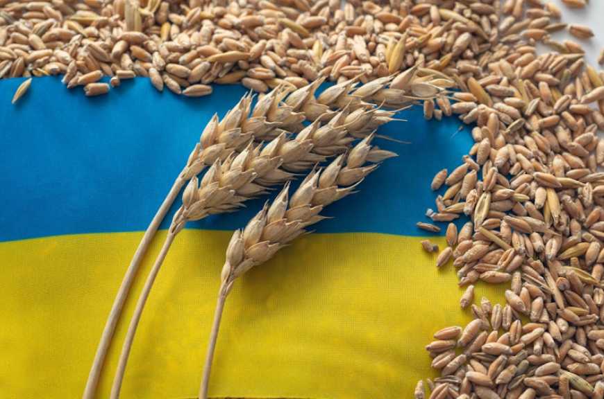 Україна офіційно запровадила ліцензування експорту збіжжя до 5 країн Східної Європи
