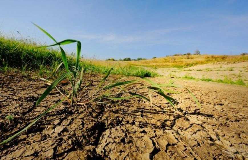 Експерти розповіли, як аграріям пристосуватися до кліматичних викликів