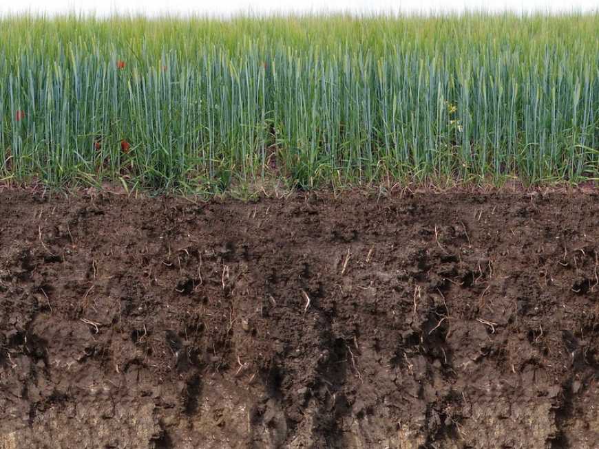 Парламент продовжив дію мораторію на продаж землі
