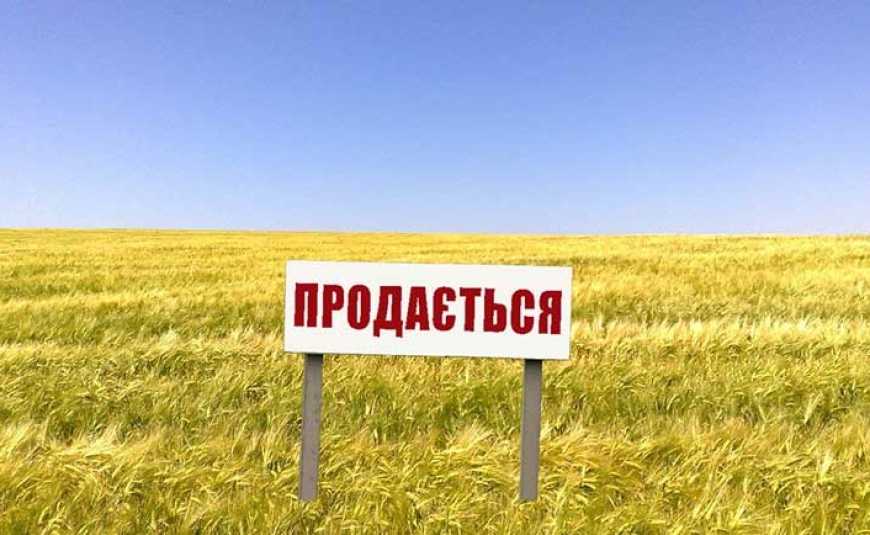 Ринок землі: у Мінагрополітики прогнозують зростання цін