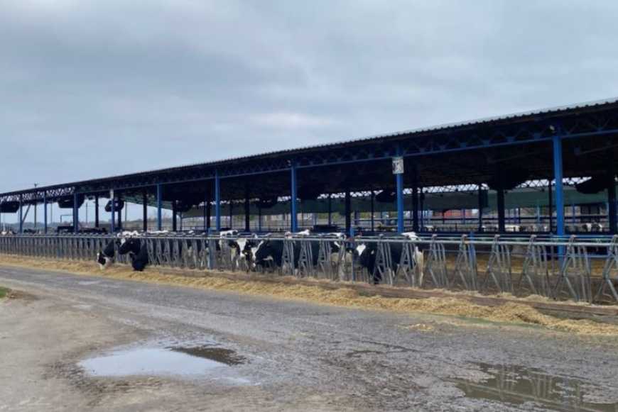 На Черкащині перероблятимуть тваринницькі відходи на екологічне органічне добриво