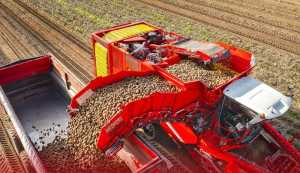 Міжнародне навчання від GRIMME в Польщі: важливий досвід для українських фахівців агросектору