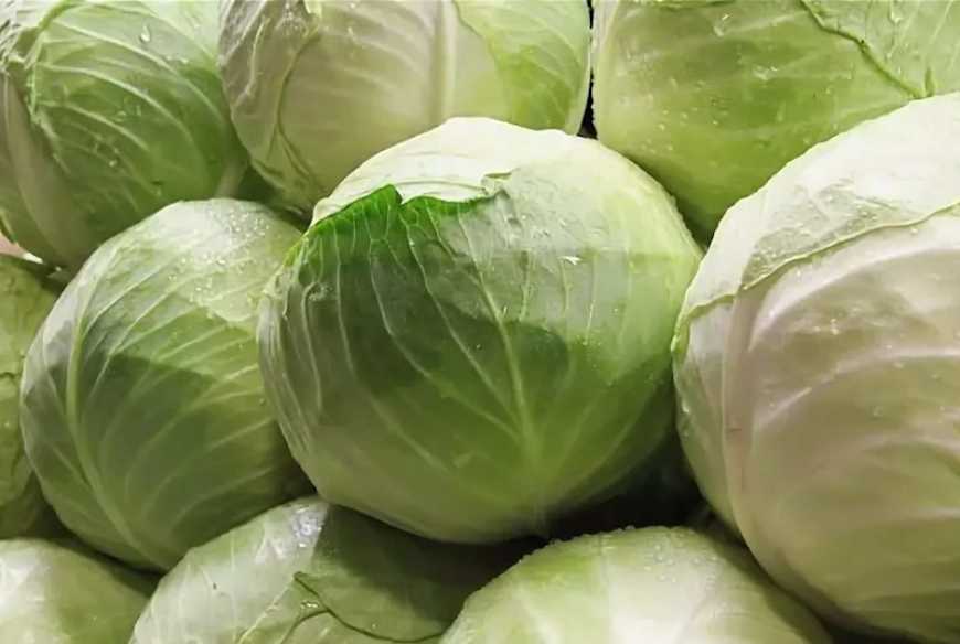 В Україні білоголова капуста за тиждень подешевшала на 17%