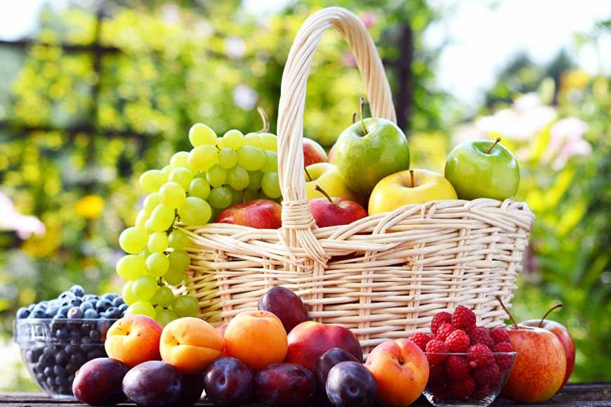 Ринок плодово-ягідної продукції: стан, прогнози та рентабельність