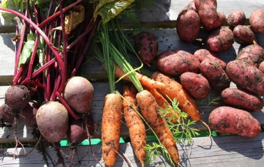 В Україні зростають ціни на овочі &quot;борщового набору&quot;