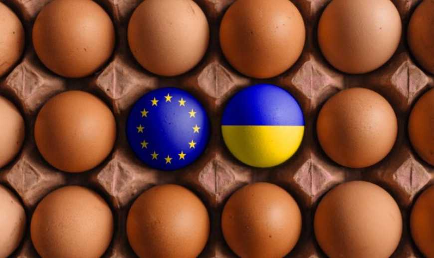 Попит на українські яйця зростає в Європі