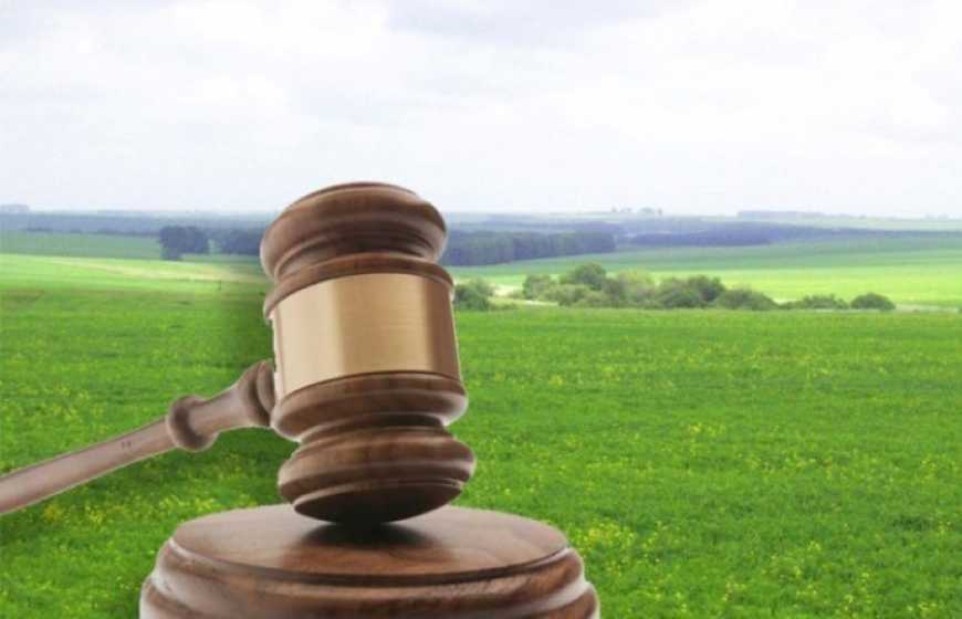 «Земельний банк»: через Prozorro за чотири роки уклали земельні угоди на майже 8 млрд грн