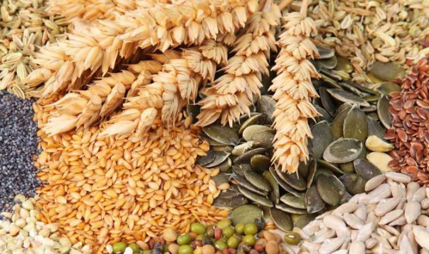 В Україні запрацювала електронна система подачі та отримання сертифікатів на насіння