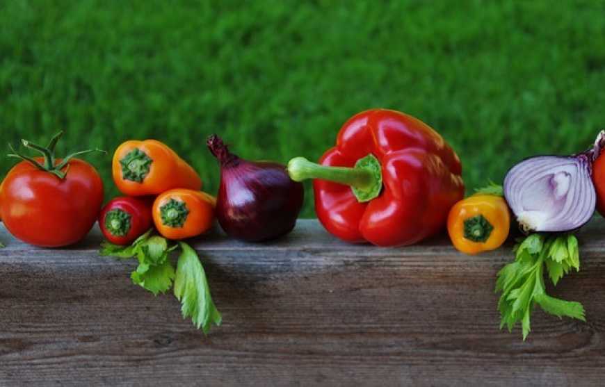 Експерти вважають, що новачки в овочівництві в поточному сезоні можуть залишитися без прибутку