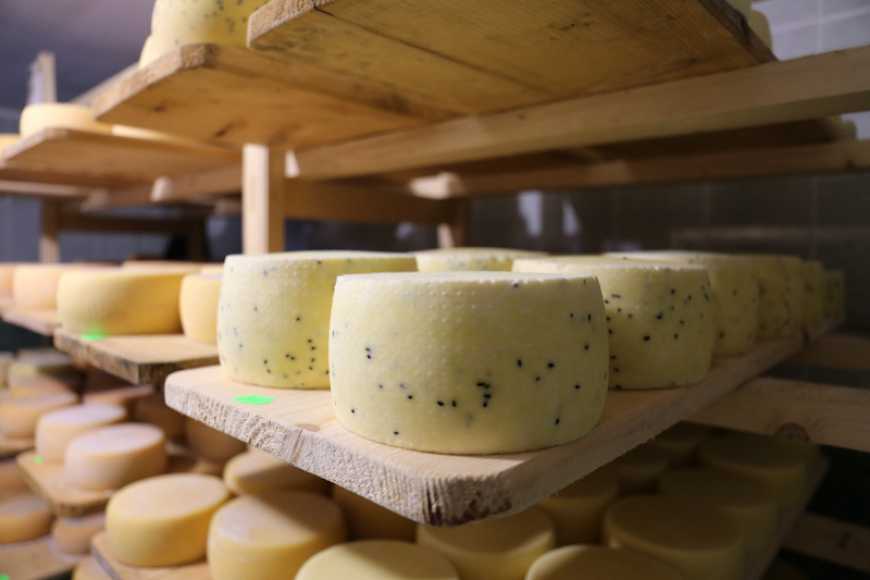 Експертка розповіла про світові сирні тренди