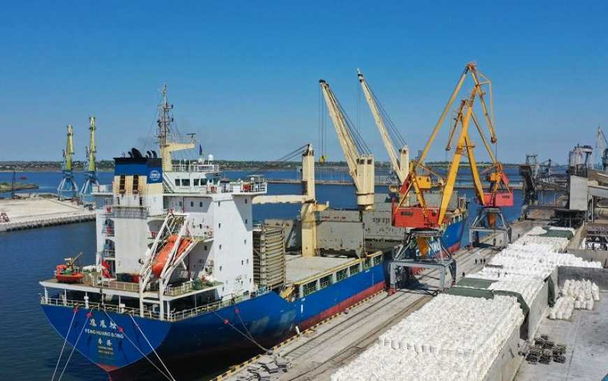 Порт «Ніка-Тера» почав прийом шроту соняшнику нового врожаю