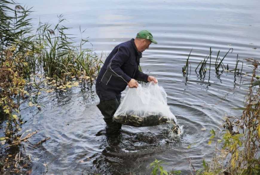 Водойми Полтавщини та Хмельниччини поповнили понад 217 тис. рибин