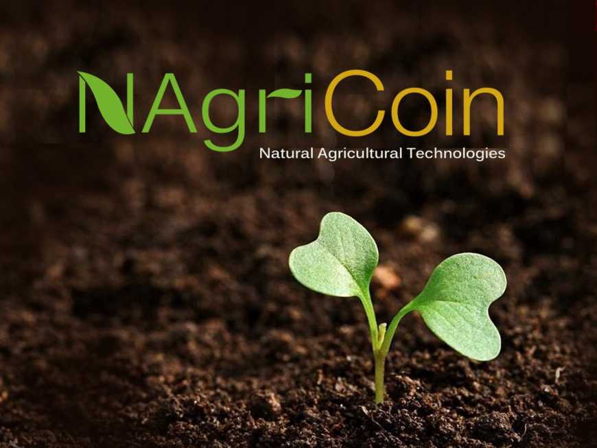 Відтепер NagriCoin зарєстрований у фонді венчурного капіталу Pecunio VC Fund