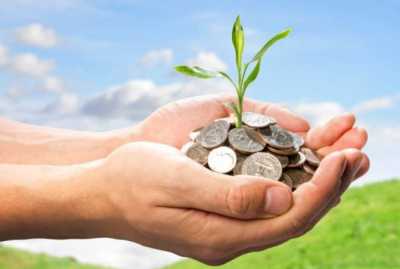 Держбюджет-2021: Аграрний комітет ухвалив правки до законопроєкту зі збільшенням дотацій АПК