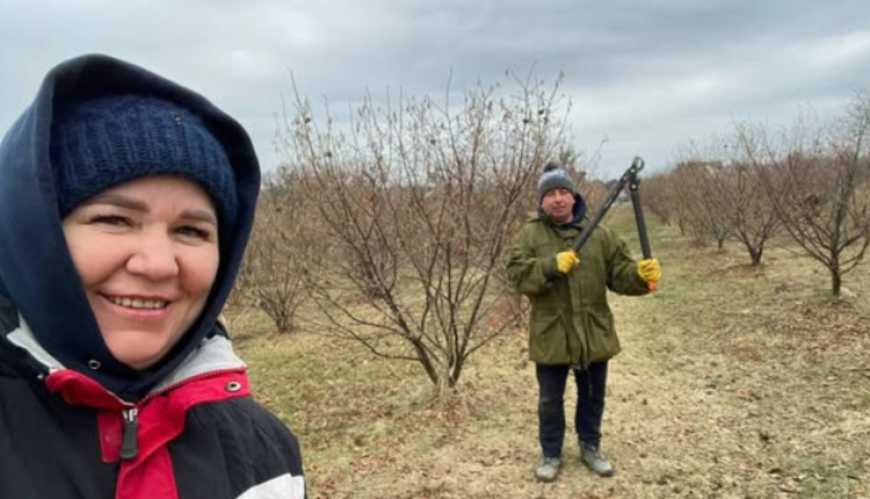 Подружжя фермерів збирає до десяти кілограмів фундука з одного дерева