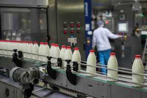 Українські молочні продукти продаватимуть до Лівану