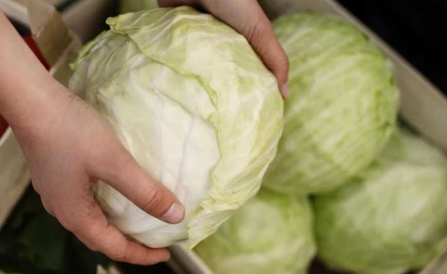 Ціни на капусту в Україні за тиждень знизилися більш ніж на 20%