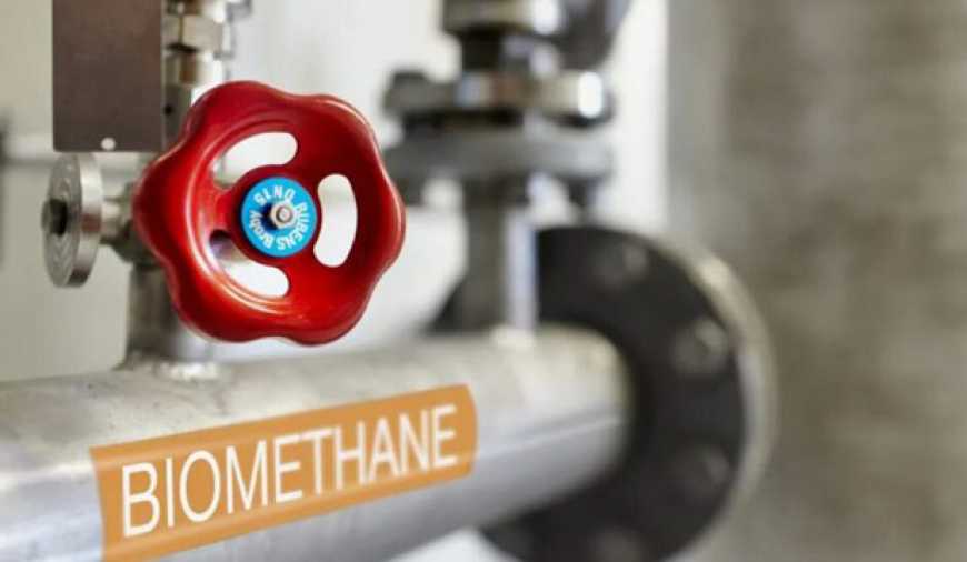 Біометан: торік Україна експортувала понад 11 млн м&sup3;