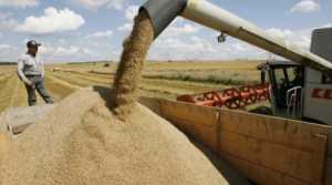 У 2018 році зростуть обсяги виробництва сільськогосподарської продукції