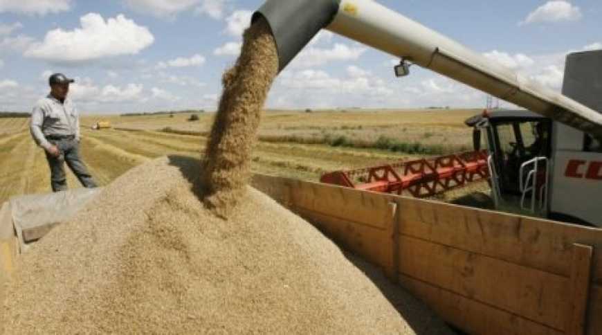 У 2018 році зростуть обсяги виробництва сільськогосподарської продукції
