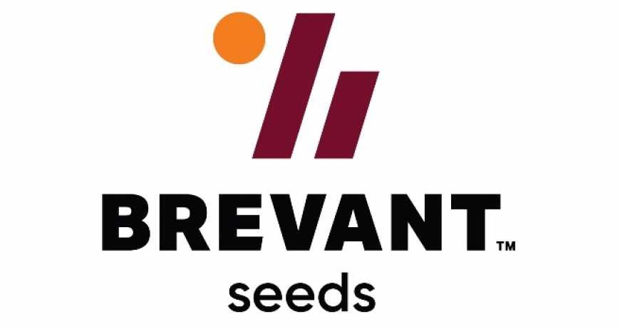 Мішки насіння Brevant&trade; відкриватимуться за допомогою інноваційної технології Easy Open