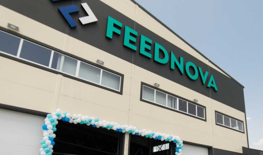 FEEDNOVA – історія спільного успіху