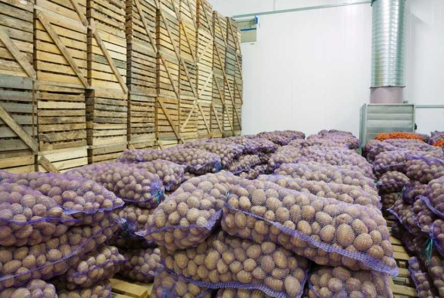 На Черкащині овочівники збільшать овочесховище на 6 тис. тонн