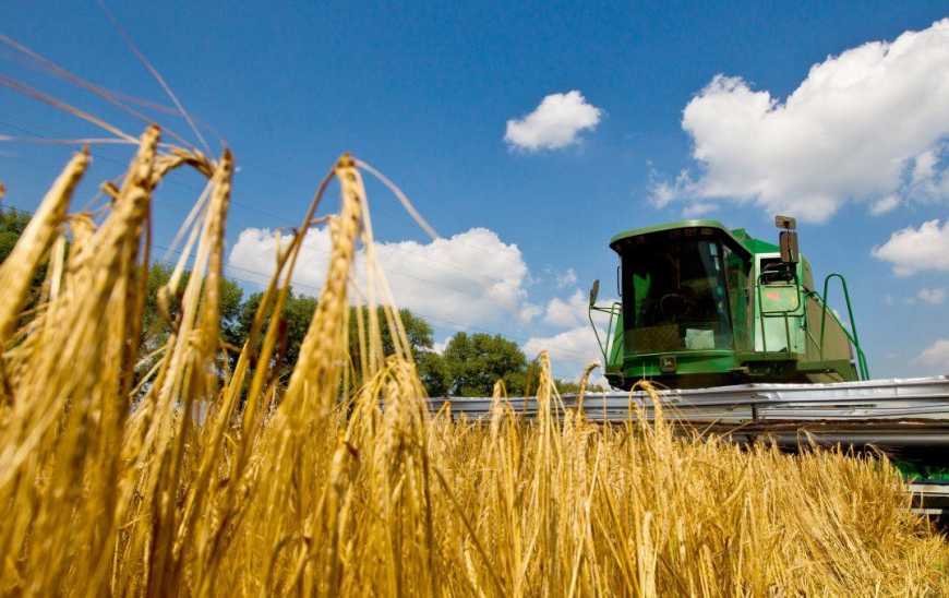 Жнива-2019: в Україні зібрано майже 5 млн тонн ячменю