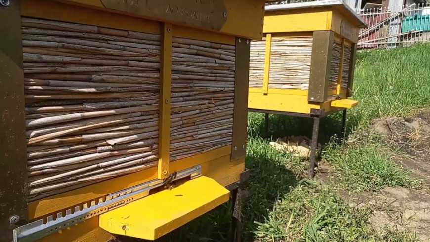 На Одещині бджолярі роблять вулики з очерету