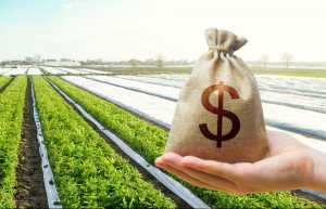 Українців з 1 липня зобов&#039;яжуть платити податки при купівлі та продажу землі