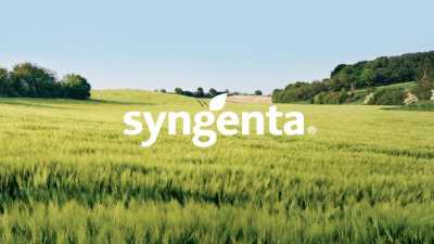 Syngenta Group &ndash; найкращий роботодавець у сільському господарстві