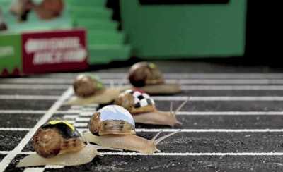 Равликові перегони і етномузей пива: на Полтавщині презентували нові гастротури