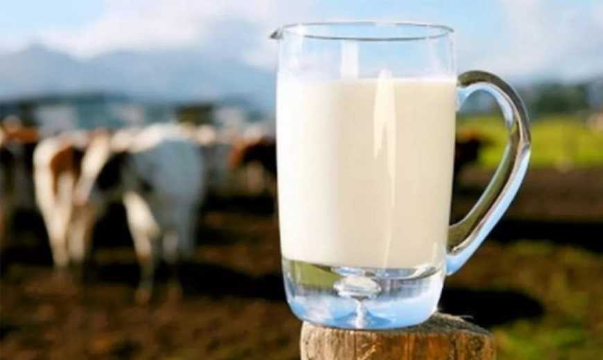 55 українських переробників мають дозволи на експорт молочки до ЄС