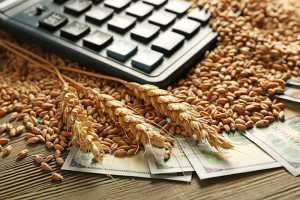 Продуктивність вітчизняного агробізнесу