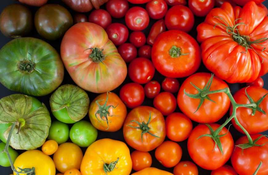 Українські тепличні комбінати не збільшують площі, але змінюють структуру видів продукції, – Тетяна Гетьман