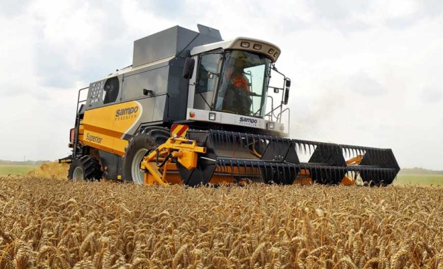 У Мінагро запевнили, що прогноз врожаю пшениці покращився