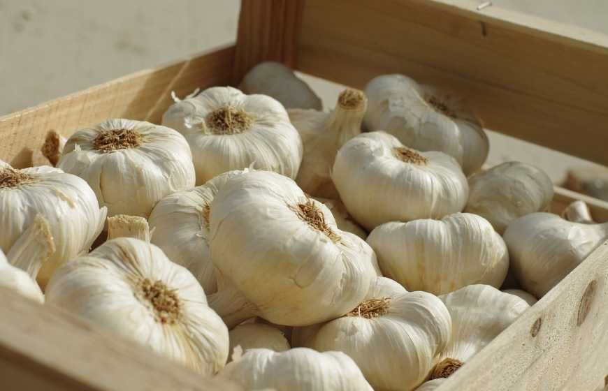 В Україні рекордно зросли ціни на часник