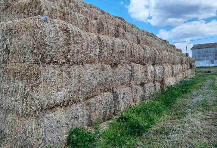 Виготовлення палива з аграрної сировини &ndash; вже не альтернатива, а нагальна потреба