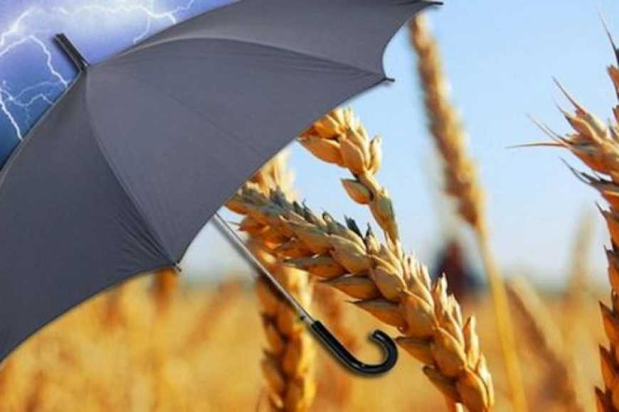Форс-мажори, посуха та неврожай: аграрії зможуть страхувати ризики з травня наступного року