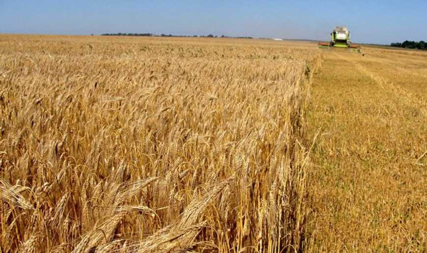 Аграрії намолотили вже 2,7 мільйони тонн зерна