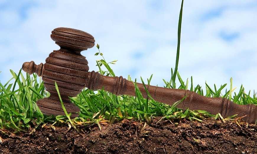 В Україні вдвічі зросла кількість аукціонів з оренди землі