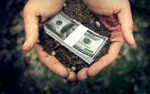 62% українців не хочуть, щоби землю почали продавати – соцопитування