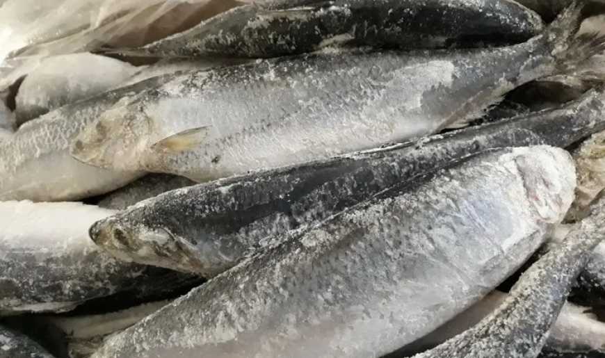 Україна збільшила імпорт мороженої риби