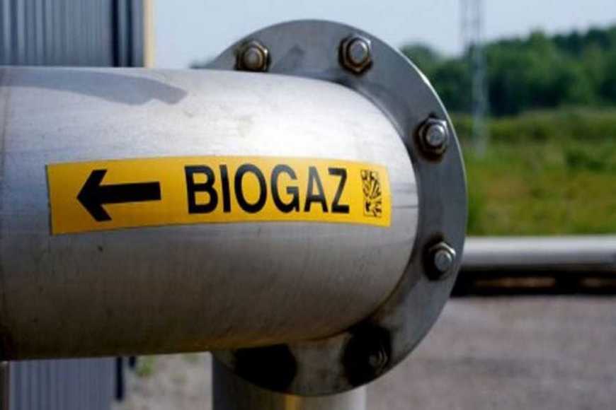 На Вінниччині біогазова станція генерує 6 тис. МВт-год електроенергії на рік