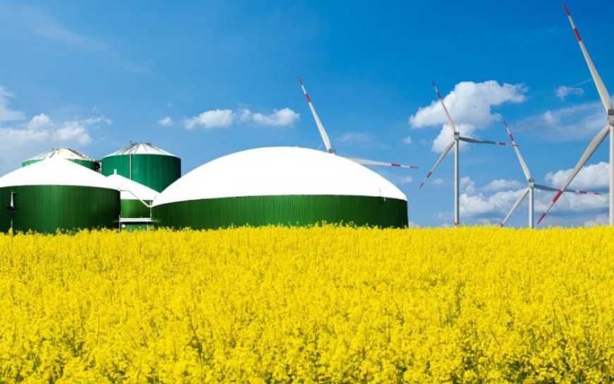 Цьогоріч в Україні побудують завод із виробництва біогазу