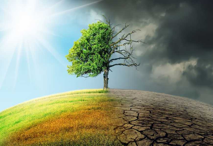 Зміна клімату: науковець розповів про позитивні і негативні наслідки для українських аграріїв