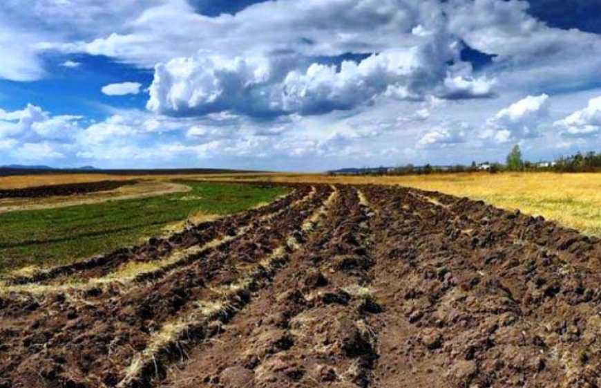 Мораторій на продаж землі визнаний незаконним