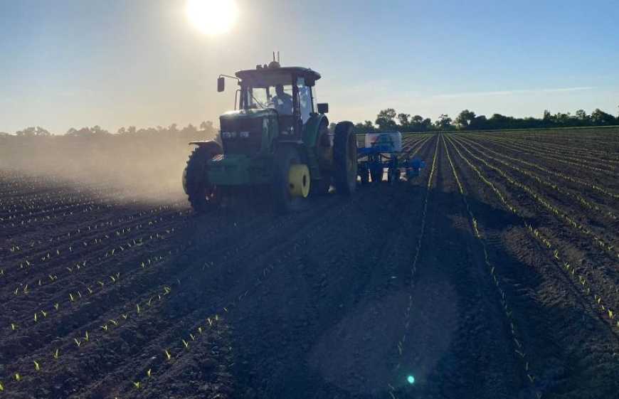 Весняна посівна 2026: як зима, що минула, вплинула на поля і впливатиме на вибір ярих культур